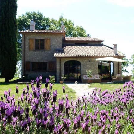 Agriturismo Sanventura Città di Castello Exterior photo